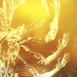 Cover: Fear Inoculum